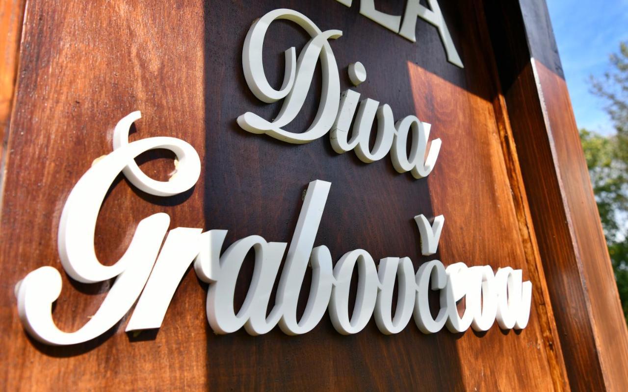 Villa Diva Grabovceva Rakovica Eksteriør billede