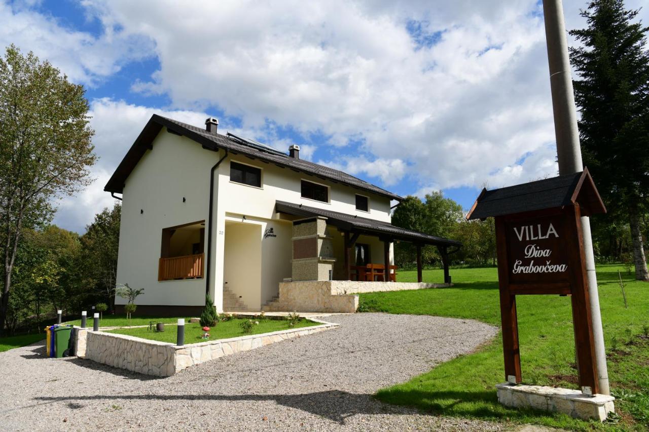 Villa Diva Grabovceva Rakovica Eksteriør billede